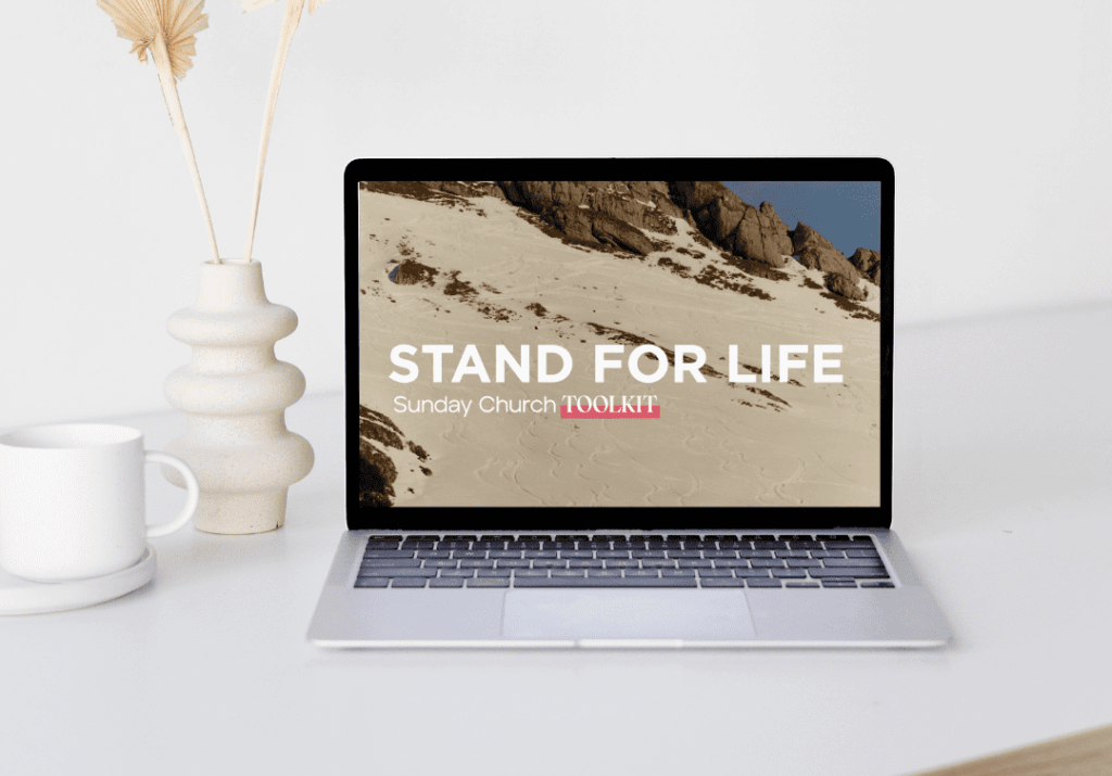 SFL Sunday Toolkit Download
